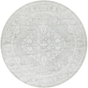 Nourison Astra Machine Washable Back to College Persian Vintage Indoor Flatweave Rug - 1 of 4