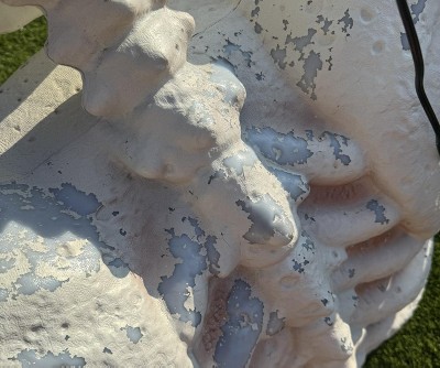 Guest review image 2 of 6, zoom in