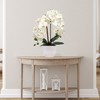 Floral Home 33.5" White Phalaenopsis Stem with 9 Flowers - 12-Piece - 3 of 4