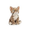 Living Nature Bengal Kitten Plush Toy - 2 of 3
