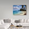 Trademark Fine Art -Anthony Casay 'Tropical Beach' Canvas Art - 3 of 3