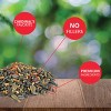 Lyric 18lb Cardinal Sunflower & Safflower Premium Wild Bird Food: Attracts Songbirds, For All Feeders - 3 of 4