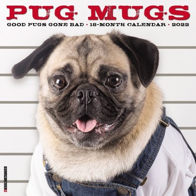 2022 Wall Calendar Pug Mugs - Willow Creek Press