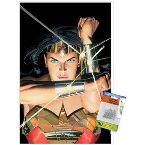 Trends International DC Comics - Wonder Woman - Alex Ross Portrait Unframed Wall Poster Prints - 1 of 4