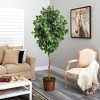 Nearly Natural 6.5-ft Ficus Artificial tree in Wicker Planter - 4 of 4