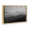 Stupell Industries Misty Adirondack Mountains Floating Frame Canvas Art - 2 of 4
