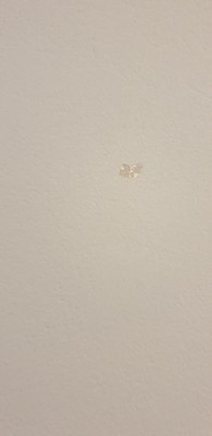 Guest review image 1 of 4, zoom in