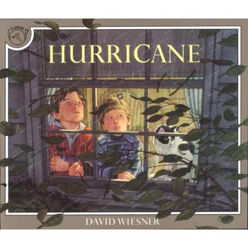 Hurricane - by  David Wiesner (Paperback)