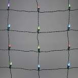 Philips 100ct 4' x 6' Christmas LED App-Controlled Color Changing Create Motion Mini Net Lights Multicolor with Green Wire