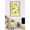 Trends International Reinders: Fruit Market - Limoncello Framed Wall Poster Prints Barnwood Framed Version 22.375" x 34" - 2 of 4