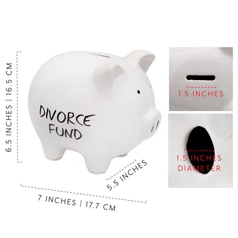 Decorae Divorce Fund Piggy Bank; Gag Gift and Divorce Party Prop, 3 of 8