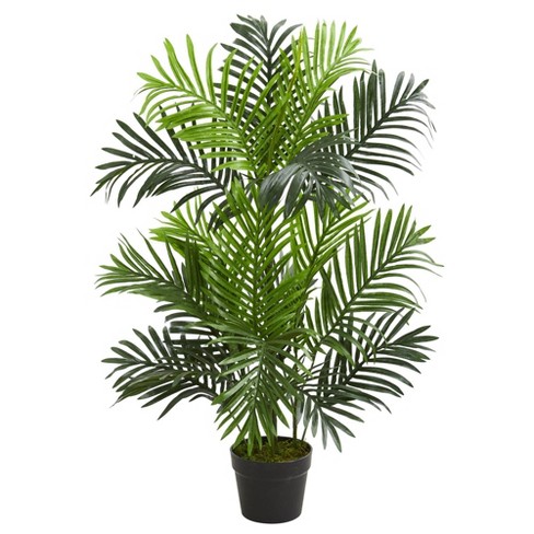 6 foot Areca Palm Tree in Tall Black Container