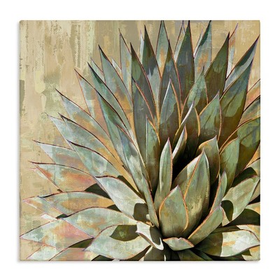Stupell Industries Green Succulent Agave Leaves, 36" x 36"