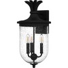 Havana 2-Light Earth Black Outdoor Wall Lantern - 4 of 4