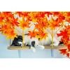 On2Pets Fall Rectangle Cat Canopy Shelves - Orange - 2ct - 3 of 3