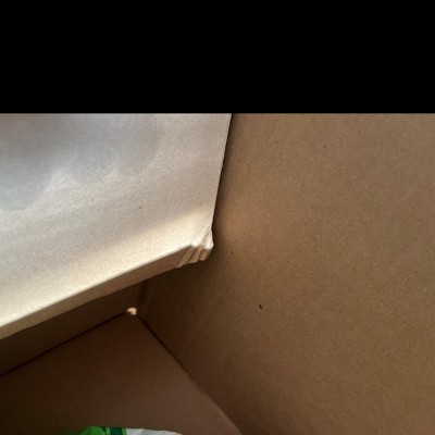 Guest review image 2 of 4, zoom in