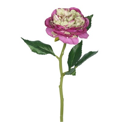 Artificial (pk/6) Open Rose Stem (25) Light Pink - Vickerman : Target