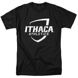 Men's Ithaca College Official Primary Logo Distressed T-Shirt - 1 of 4