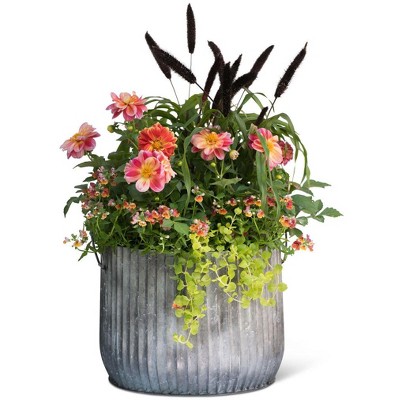 14" Galvanized Steel Ribbed Planter with Metal Handles