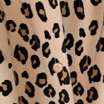 classic leopard