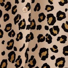 classic leopard