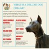 Country Brook Petz Deluxe Dog Collar - Chevron and Arrows Collection - Made in The U.S.A. - 4 of 4