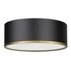 Z-Lite Arlo 3 - Light Flush Mount in  Matte Black/Rubbed Brass - 3 of 4