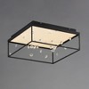 ET2 Lighting Entanglement 1 - Light Flush Mount in  Black - 2 of 3