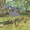 120"x40"x40" Metal Chicken Coop with Run, Heavy-Duty Poultry Pen with Waterproof UV Cover, Outdoor Enclosure for Chickens, Ducks & Rabbits, Silver - 3 of 4
