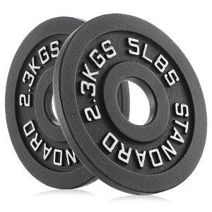 Philosophy Gym Set of 2 Cast Iron Olympic 2-inch Weight Plates - 1 of 4