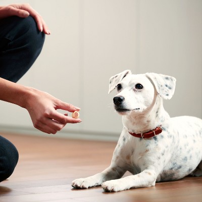 Milk-Bone MaroSnacks Dog Treats with Real Bone Marrow, 40 oz