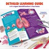 Dan&Darci Squishy Anatomy - Human Body Model - Science Kit for Kids - STEM toys - Birthday Gifts for Boys & Girls - Educational Toys - 3 of 4