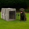 Dakota 283 Canine Rough and Tough Economy Pet Kennel, Heavy Duty Crate for Dogs and Cats with Ventilation Holes, X-Large, Sandstone - 4 of 4
