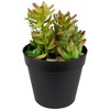 Northlight 8" Mixed Succulent Artificial Plant Arrangement in Pot - Green/Red - 4 of 4