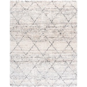 Fontana Shag FNT886 Power Loomed Indoor Rugs - Safavieh - 1 of 4