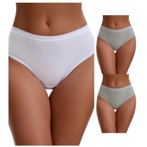INSPIRE CHIC Women's Cotton High Waist Bright Trim Briefs Elastic Waistband Breathable Underwear 3 Packs - 1 of 4