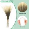 Unique Bargains Dried Plants Artificial Durable Small Fluffy Pampas Grass for Home, Office, Party 20 Pcs 21.7 Inch - 2 of 4
