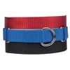 Guardian Gear Nylon Martingale Dog Collar, Fits Necks 18" to 26", Black - 2 of 2