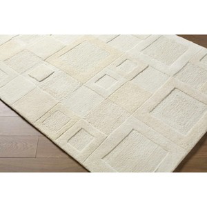 Hauteloom Botham Wool Living Room, Bedroom Area Rug - Contemporary - High Pile - 1 of 4