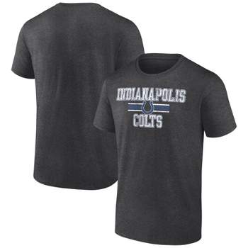NFL Indianapolis Colts Men's Team Striping Gray Short Sleeve Bi-Blend T-Shirt