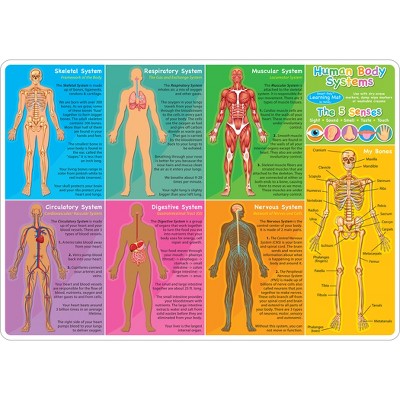 Colorful Double-Sided Human Anatomy Learning Mat for Kids