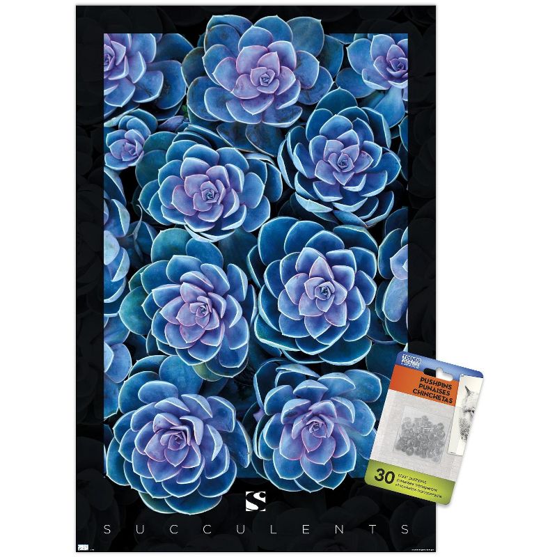 Trends International Succulents - Purple Unframed Wall Poster Prints, 1 of 7