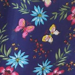 dark navy butterfly