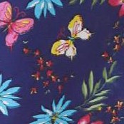 dark navy butterfly