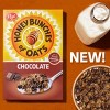 Honey Bunches of Oats Chocolate Cereal - 18oz - 3 of 4