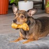 Pet Factory Made in USA Beefhide Small Assorted (12 Bones, 13 Chip Rolls), Assorted Flavors (Beef & Chicken) - 4-6", 25 Count - 4 of 4
