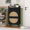 VYNXARIA Elegant Rattan Double Layer Shoe Cabinet - 2 of 4