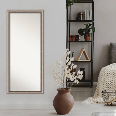 Elegant Full-Length Bronze and Silver Wood Framed Mirror