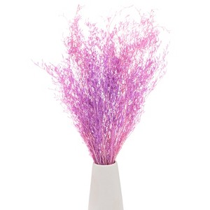 Unique Bargains Natural Home Decor DIY Design Dried Flowers Bouquet 1 Pc - 1 of 4