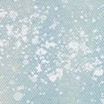 coastal white